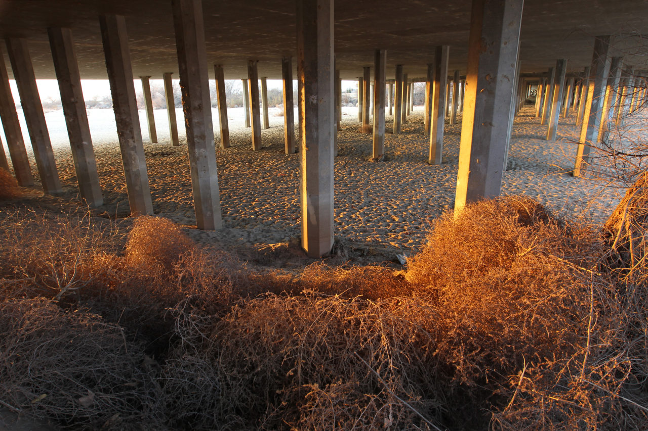 Victorville California Experiencing Tumbleweed Takeover (Photo by David McNew/Getty Images)