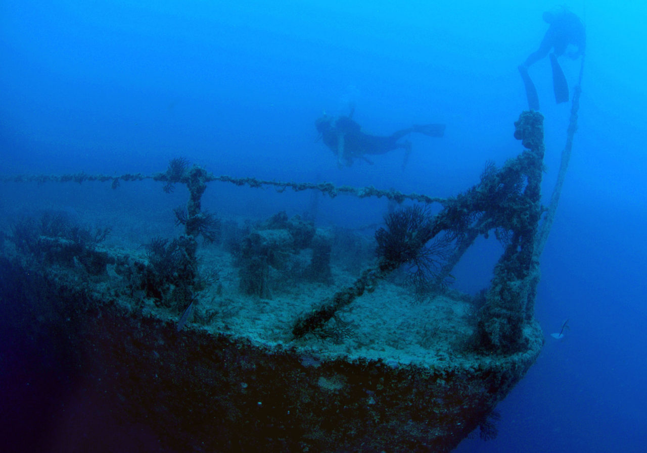Shipwreck Diver